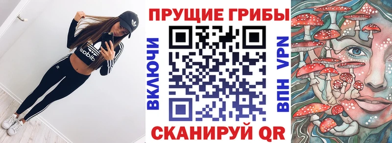 закладка  Белоярский  Галлюциногенные грибы мухоморы 